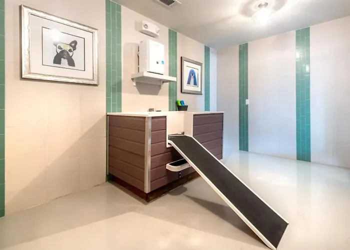 Apartment Landing Beautiful 1bd Gym Game *